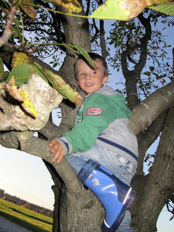 Baby- Und Kinderhof Aicherbauer Seeham Eksteriør bilde