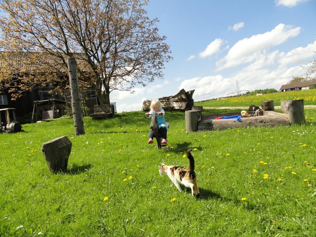 Baby- Und Kinderhof Aicherbauer Seeham Eksteriør bilde