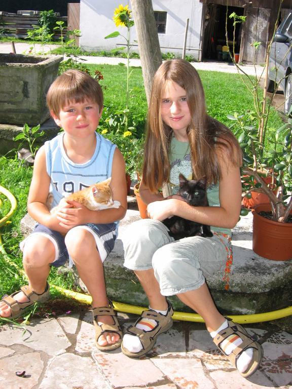 Baby- Und Kinderhof Aicherbauer Seeham Eksteriør bilde